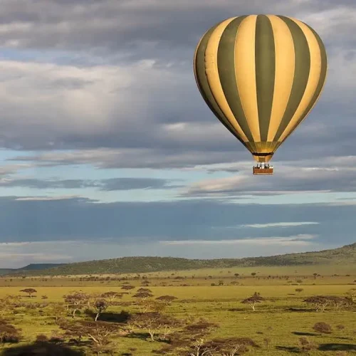 montgolfiere-safari-serengeti-petit