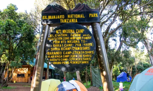 mti mkubwa camp