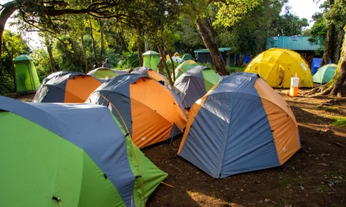 mti mkubwa camp