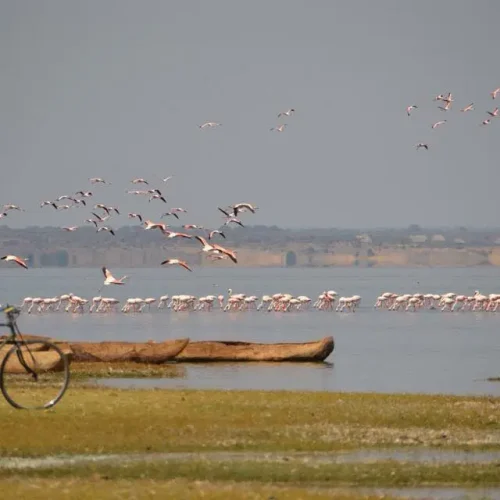 mto-wa-mbu-velo-bord-du-lac