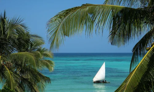 navigation en boutre dans l océan indien à zanzibar