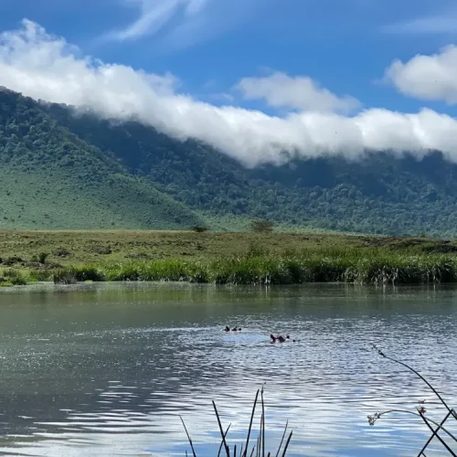 panorama-lac-cratere-ngorongoro