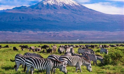 parc national d'Ambeseli-