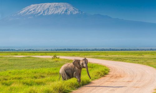 parc national d'Amboseli