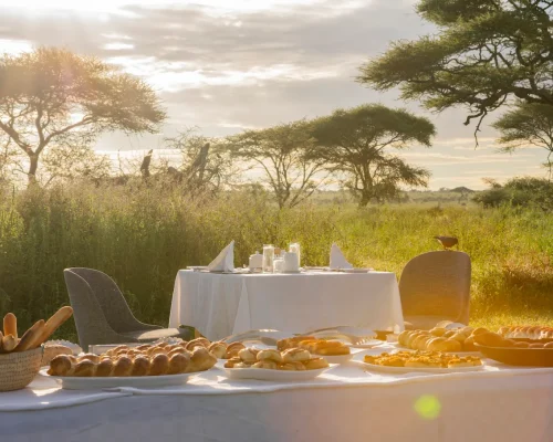 petit déjeuner en brousse sametu serengeti camp