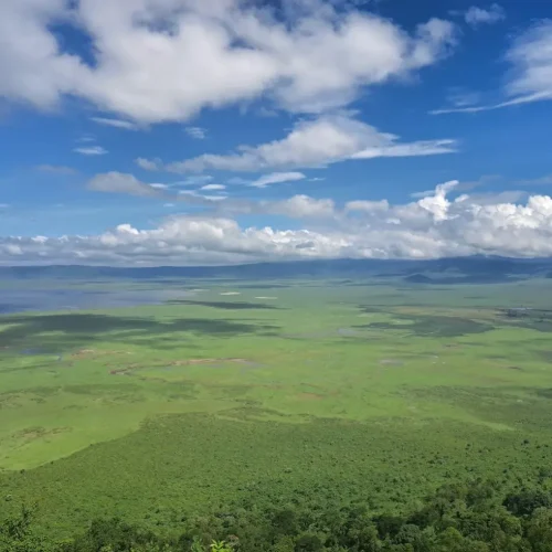 photo-aerienne-cratere-ngorongoro-tanzanie