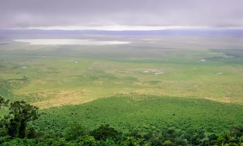 plantation-ngorongoro