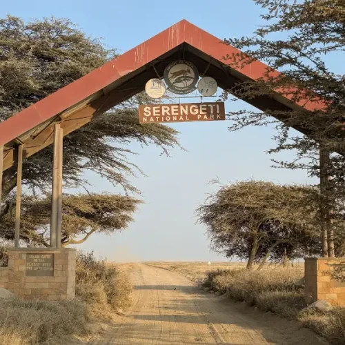 porte principale du Serengeti