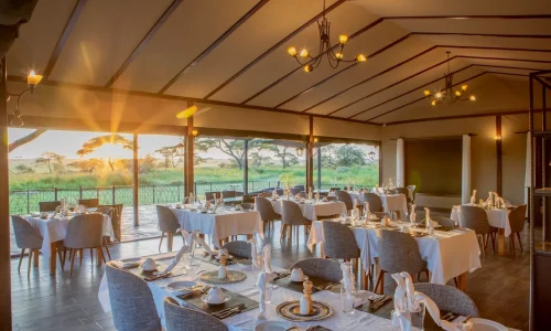 restaurant sametu serengeti camp