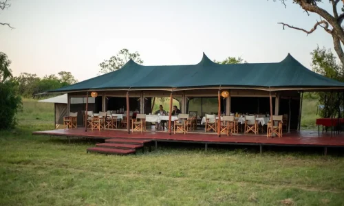 restaurant-untamed-migration-camps