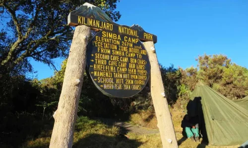 rongai-simba-camp-postmark