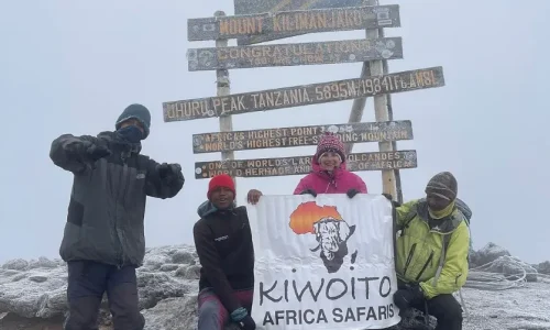 safari Kiwoito avec des grimpeurs au sommet Uhuru (1)