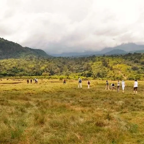 safari à pied dans le parc national d’arusha