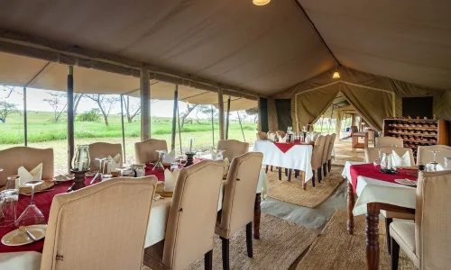 salle à manger sametu serengeti camp