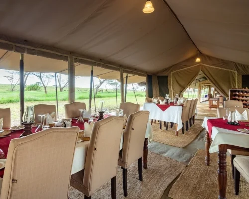 salle à manger sametu serengeti camp