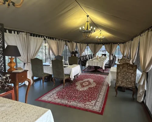salle à manger tarangire kuro treetops
