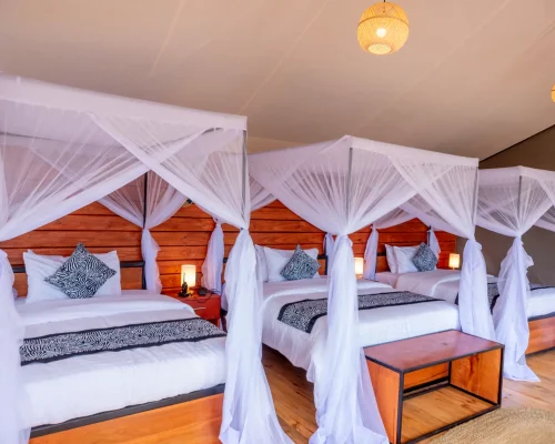 serengeti-classic-view-camp-chambres