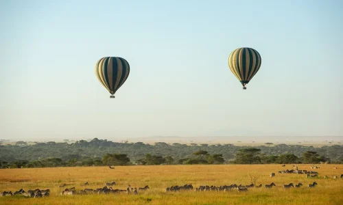 serengeti-safari-montgolfiere