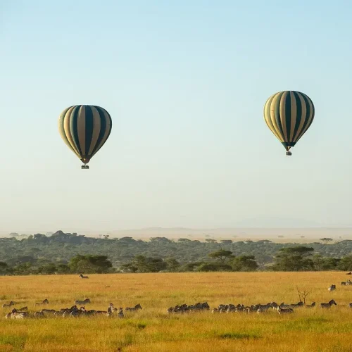 serengeti-safari-montgolfiere