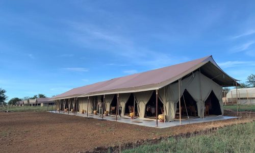 Serengeti Tortilis camp