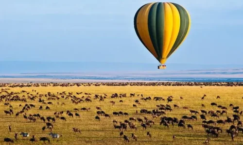 serengeti-tour-montgolfiere