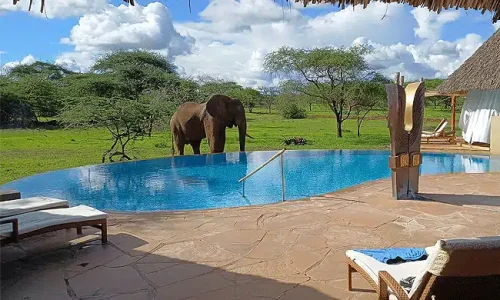 severin-safari-camp-tsavo-west-national-park-swimming-pool