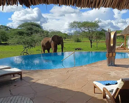 severin-safari-camp-tsavo-west-national-park-swimming-pool