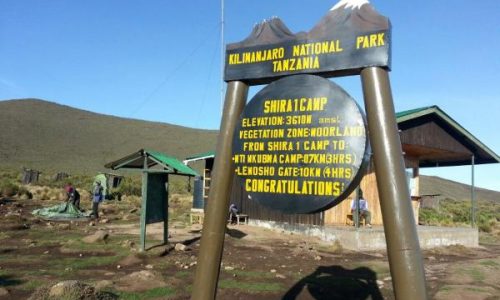 Camp Shira 1