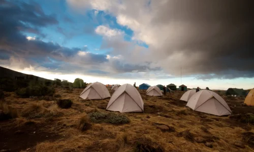 shira1-camp-tents