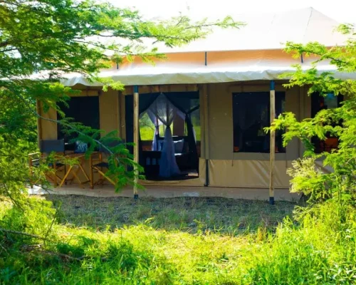 shuhudia adventure camp restaurant