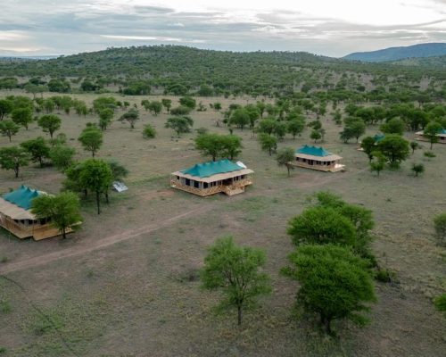 signature-serengeti