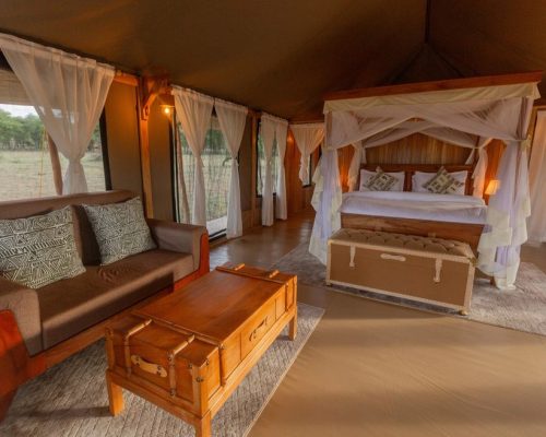signature-serengeti