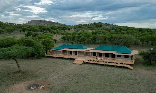signature-serengeti