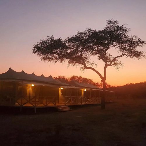 signature-serengeti