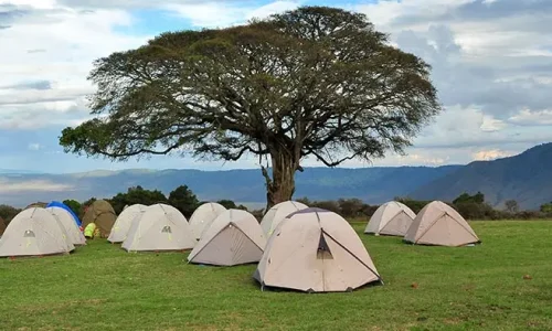 simba-campsite-tents