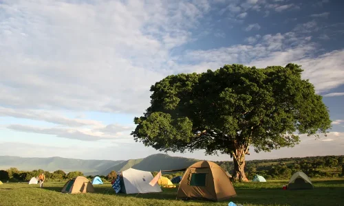 simba-campsite-view