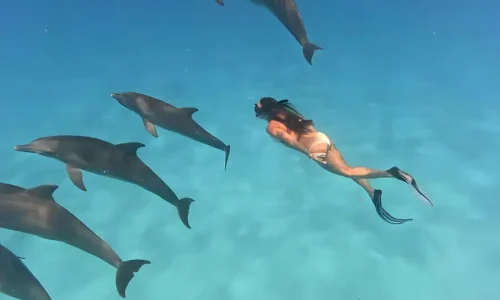 snorkeling-with-tropical-fish-zanzibar