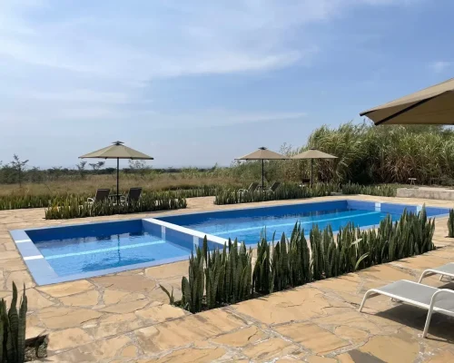 swimming-pool-zebra-plains-tented-camp