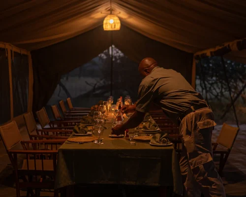 table à manger zebra intimate camps serengeti