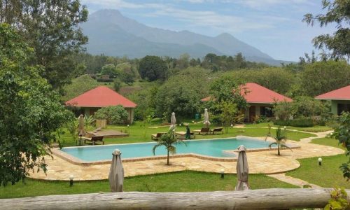 tarangire osupuko lodges