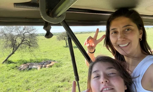“touriste observant une famille de lions lors d’un safari avec kiwoito”