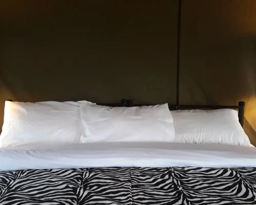 une chambre shuhudia adventure