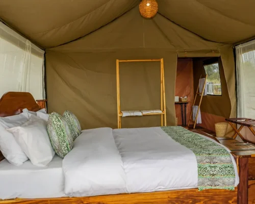 untamed-migration-camps-chambre