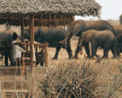 Satao Camp