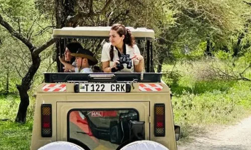 véhicule de safari kiwoito en excursion dans tarangire