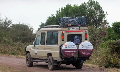 véhicule kiwoito africa safari dans le serengeti