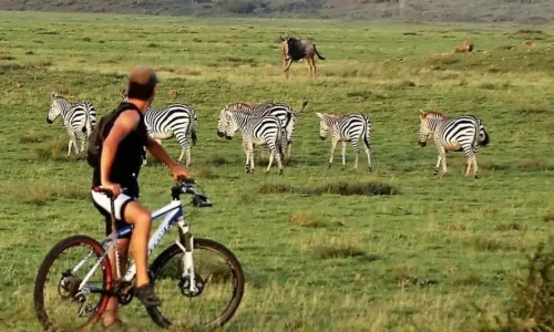 vélo de montagne parc d’arusha