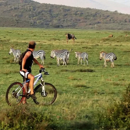 vélo de montagne parc d’arusha