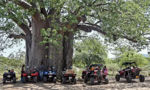 vélo village karatu