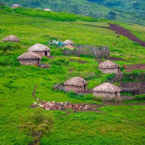 village maasaï tanzanie aire de conservation ngorongoro